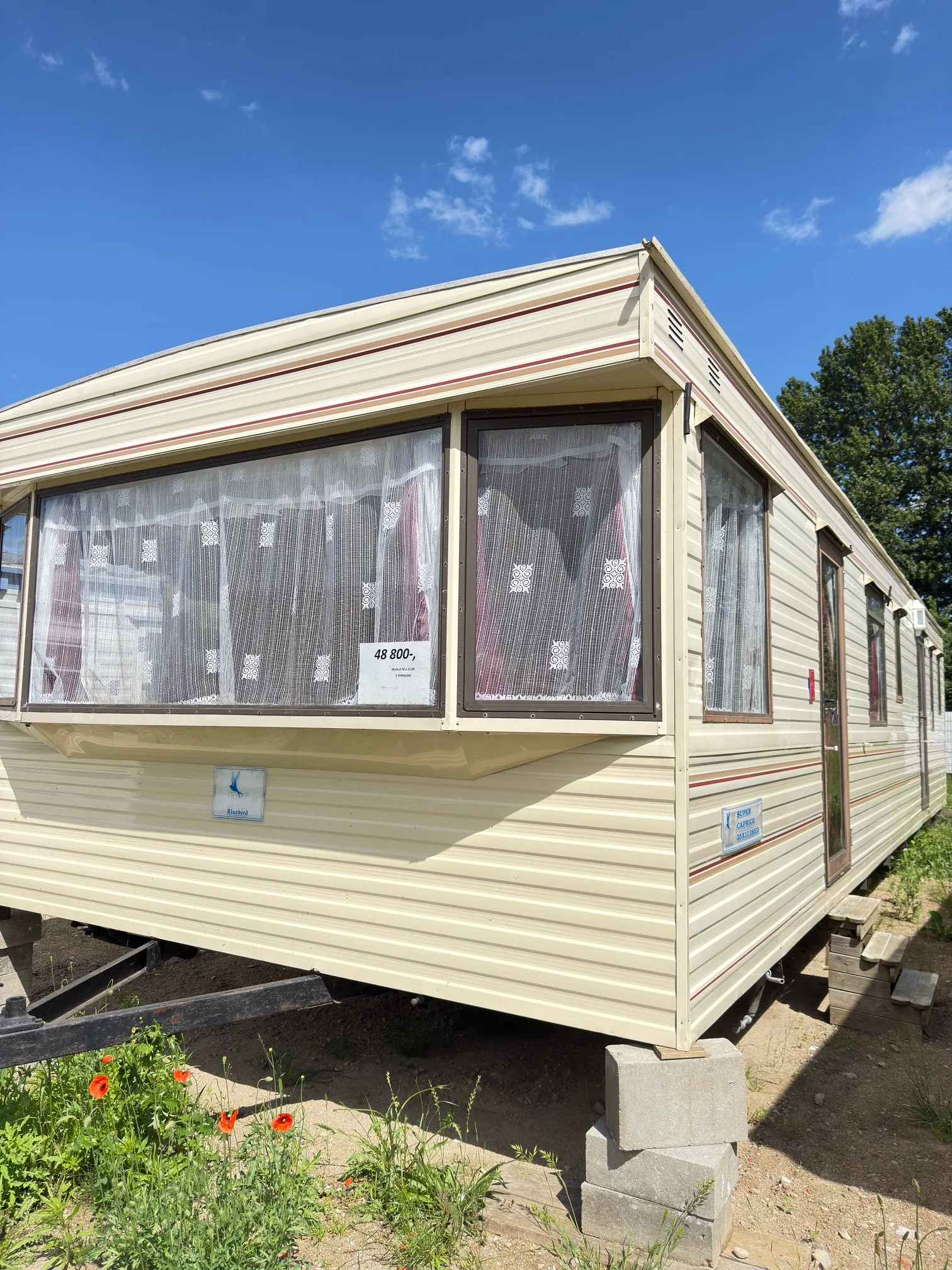 BK BLUEBIRD – domek holenderski
